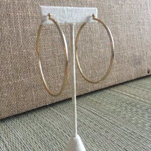 Round Gold Plate Earrings